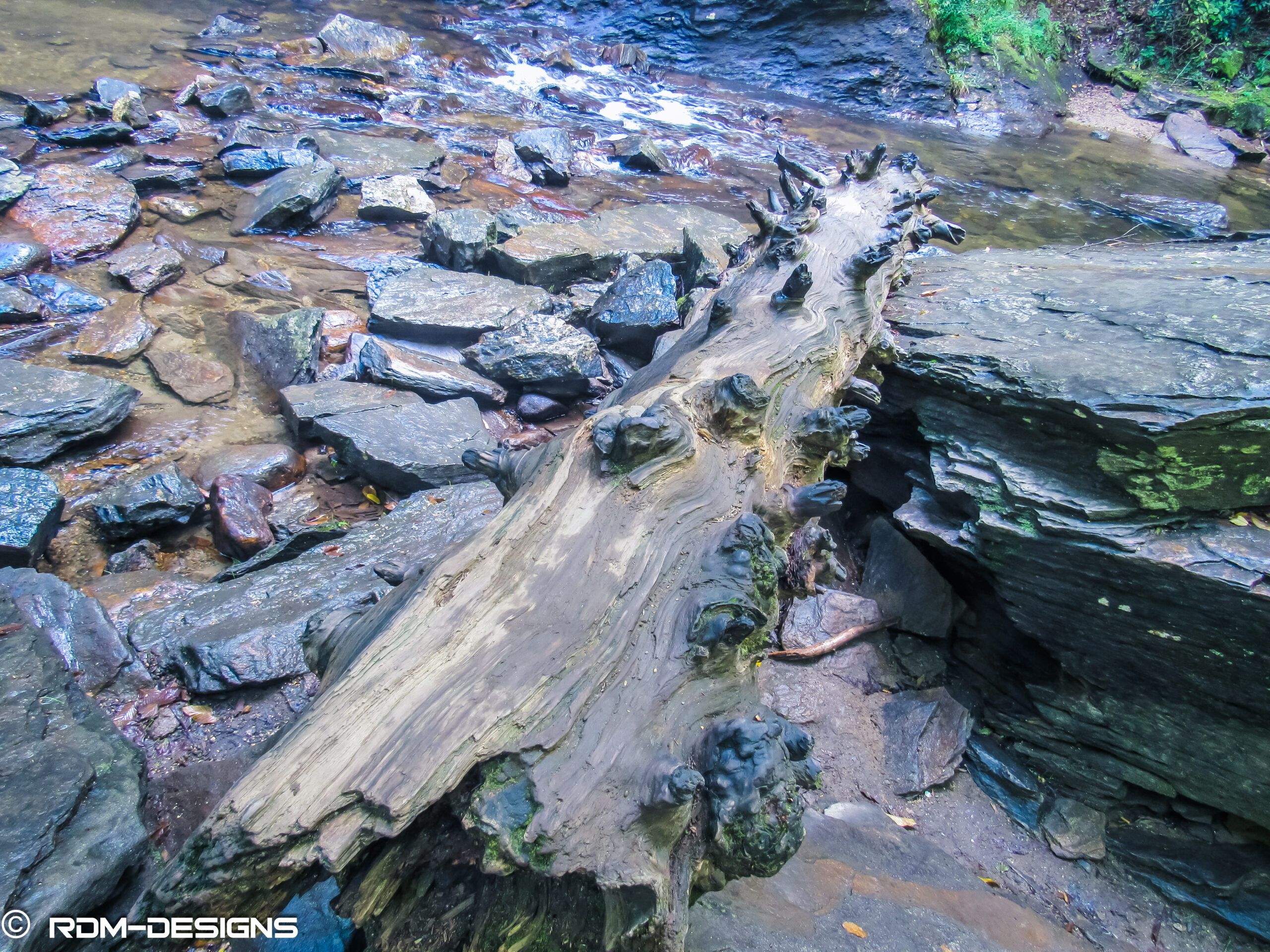 NC Waterfalls — fine art landscape photography by RDM Designs